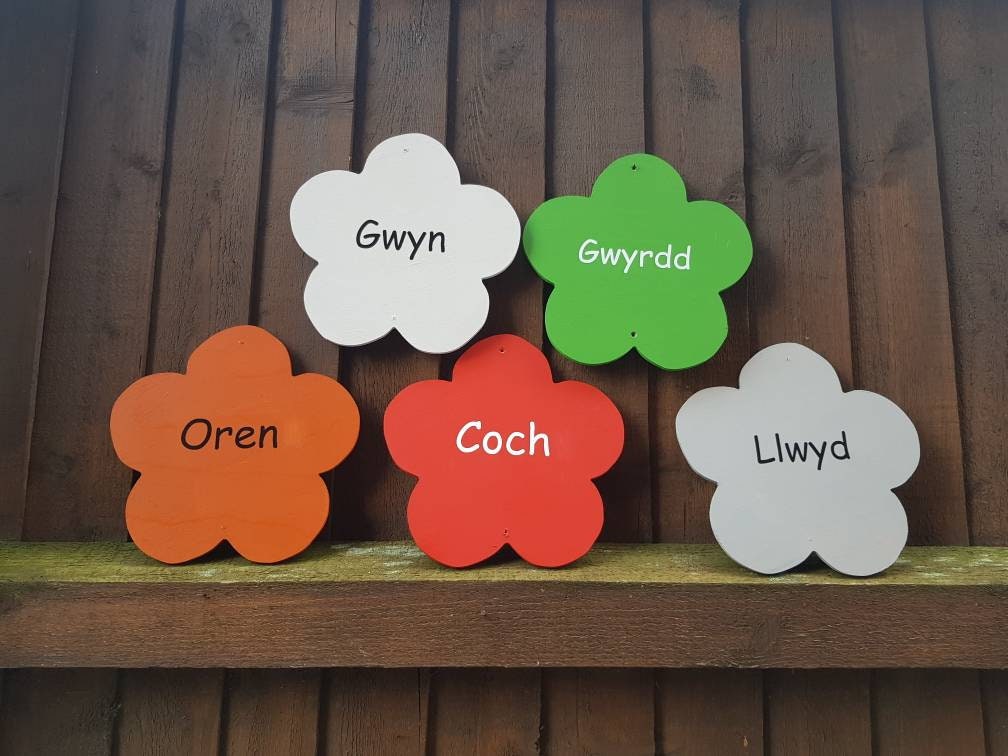 SET OF 10 COLOUR RECOGNITION FLOWERS (WELSH)
