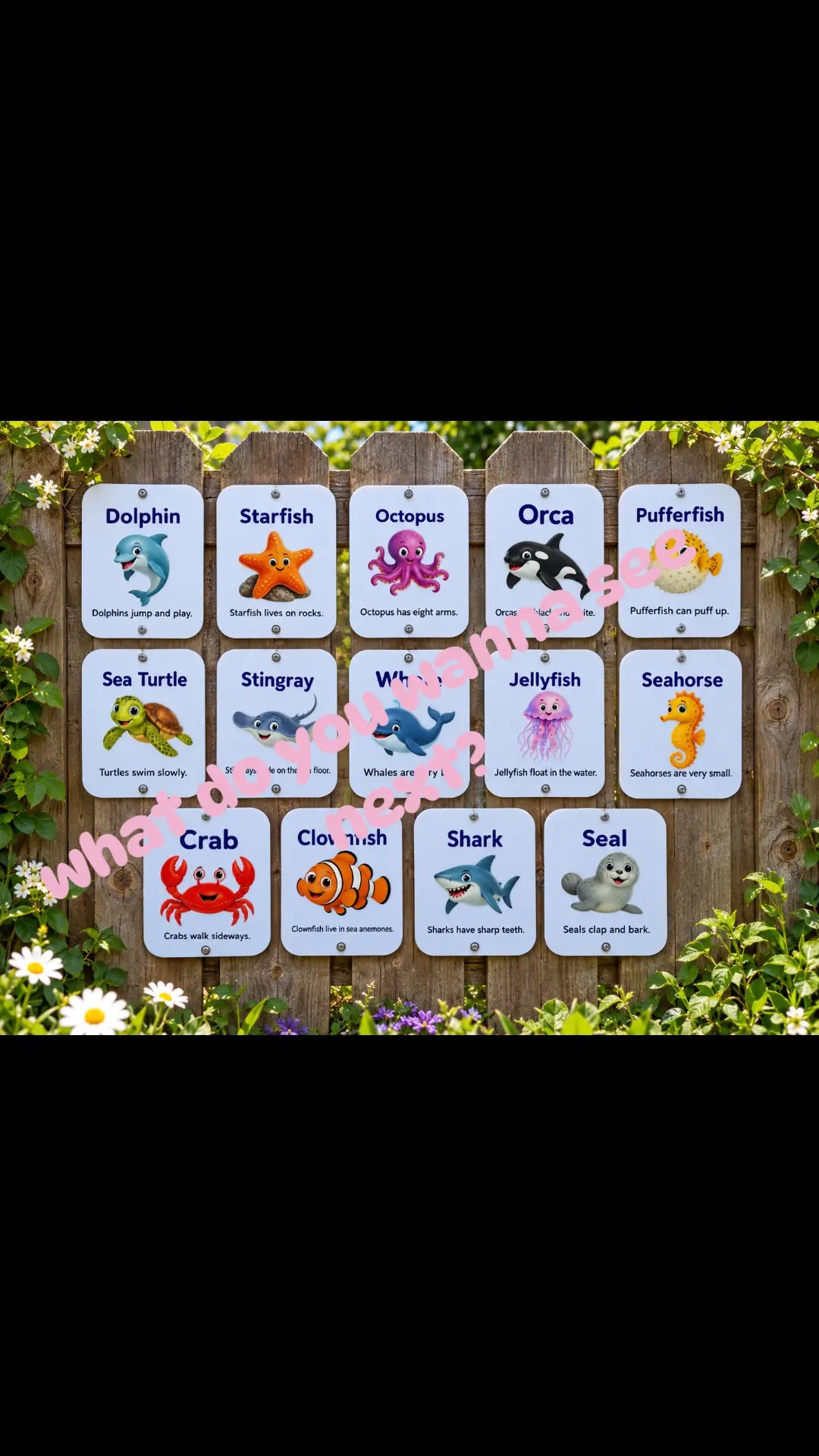 SET OF 14 SEA CREATURE SIGNS, ACRYLIC (12X15CM), UV PRINTED