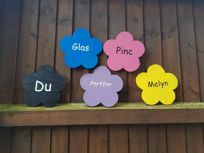 SET OF 10 COLOUR RECOGNITION FLOWERS (WELSH)