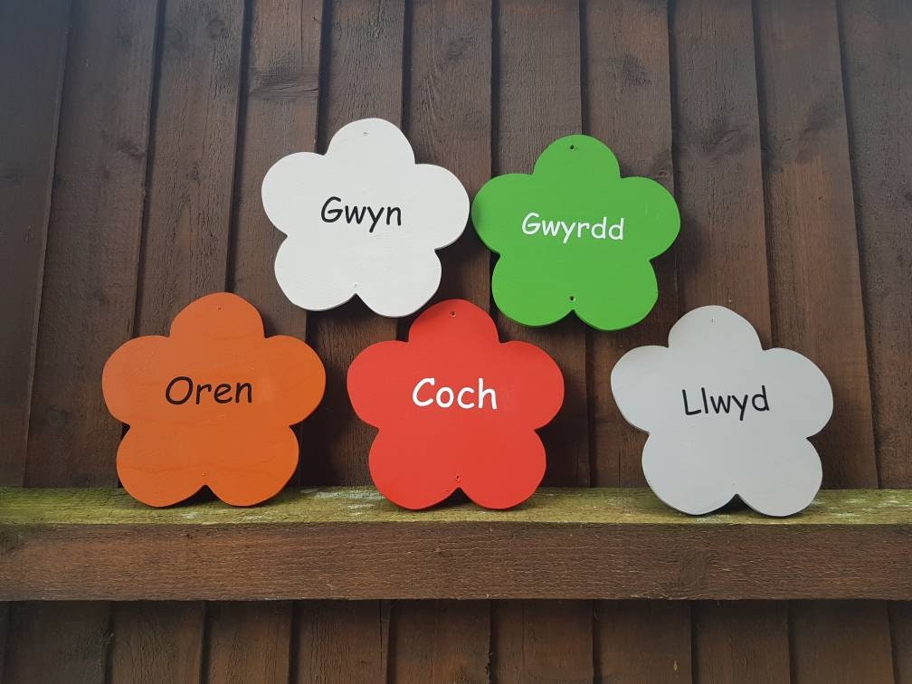 SET OF 10 COLOUR RECOGNITION FLOWERS (WELSH)