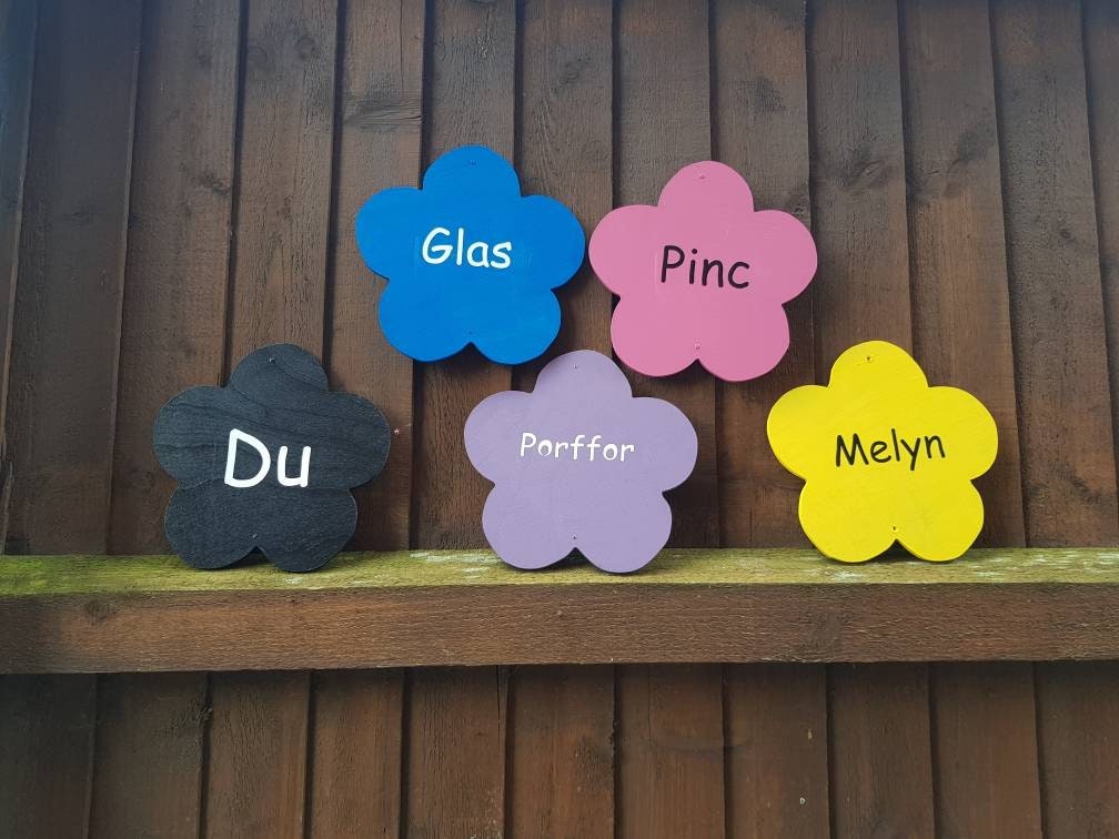SET OF 10 COLOUR RECOGNITION FLOWERS (WELSH)
