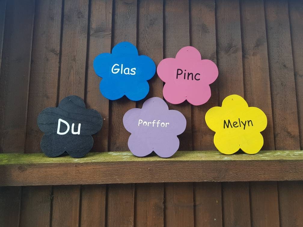 SET OF 10 COLOUR RECOGNITION FLOWERS (WELSH)