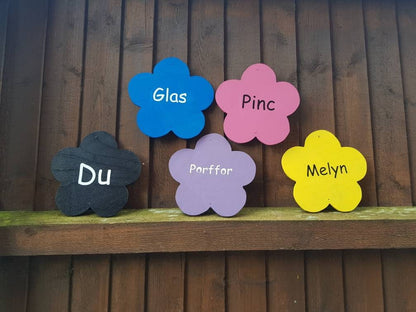SET OF 10 COLOUR RECOGNITION FLOWERS (WELSH)