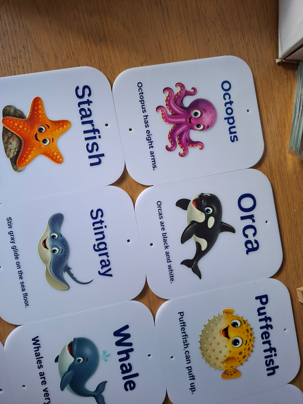 SET OF 14 SEA CREATURE SIGNS, ACRYLIC (12X15CM), UV PRINTED