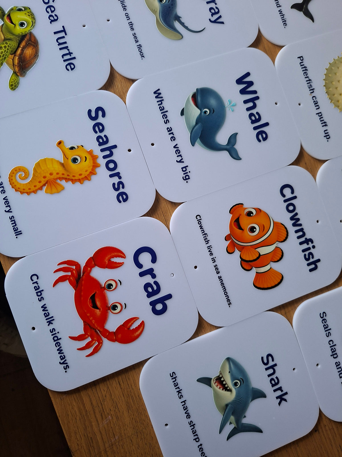 SET OF 14 SEA CREATURE SIGNS, ACRYLIC (12X15CM), UV PRINTED