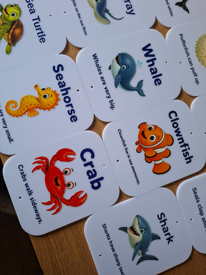 SET OF 14 SEA CREATURE SIGNS, ACRYLIC (12X15CM), UV PRINTED