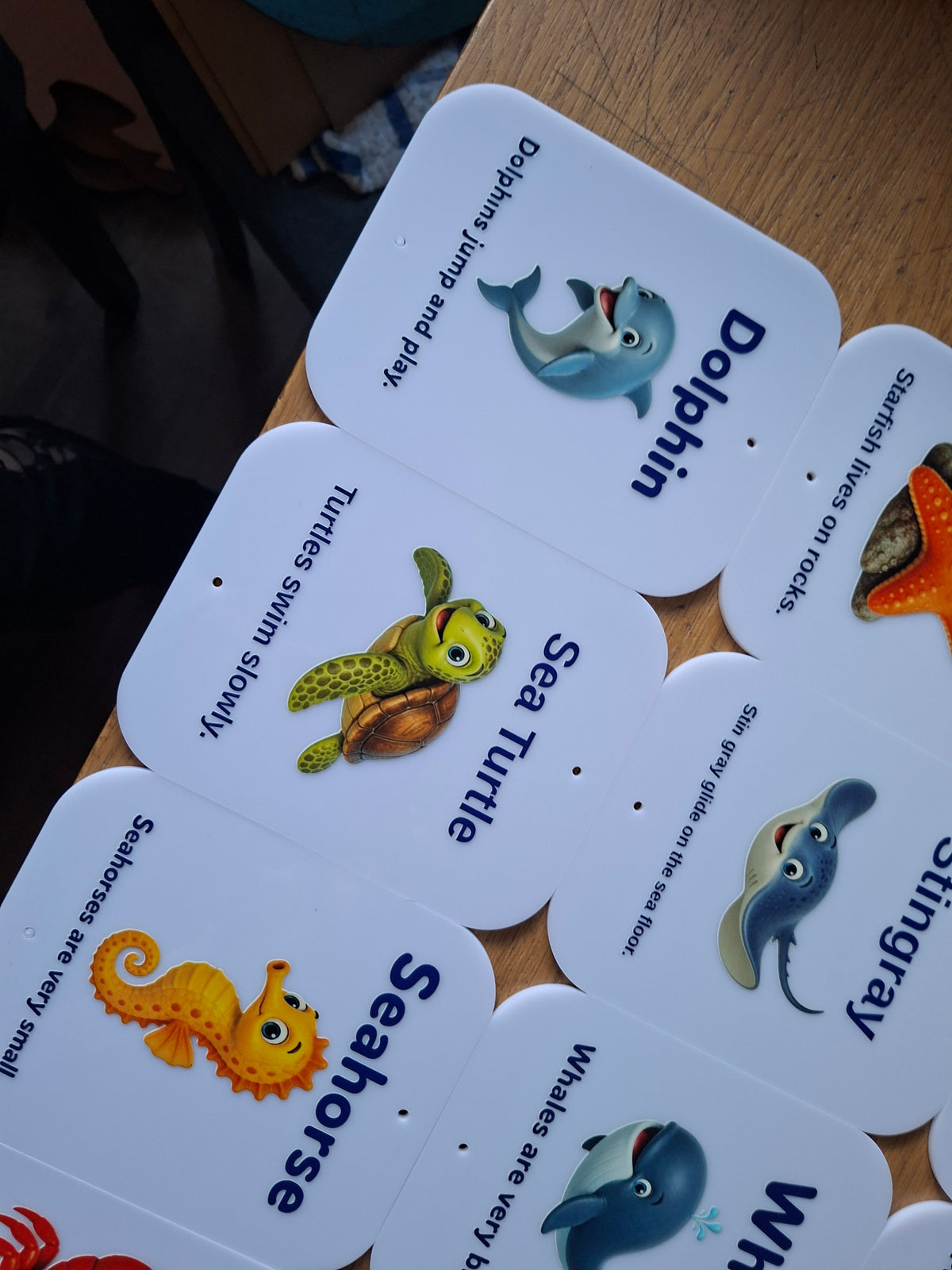 SET OF 14 SEA CREATURE SIGNS, ACRYLIC (12X15CM), UV PRINTED