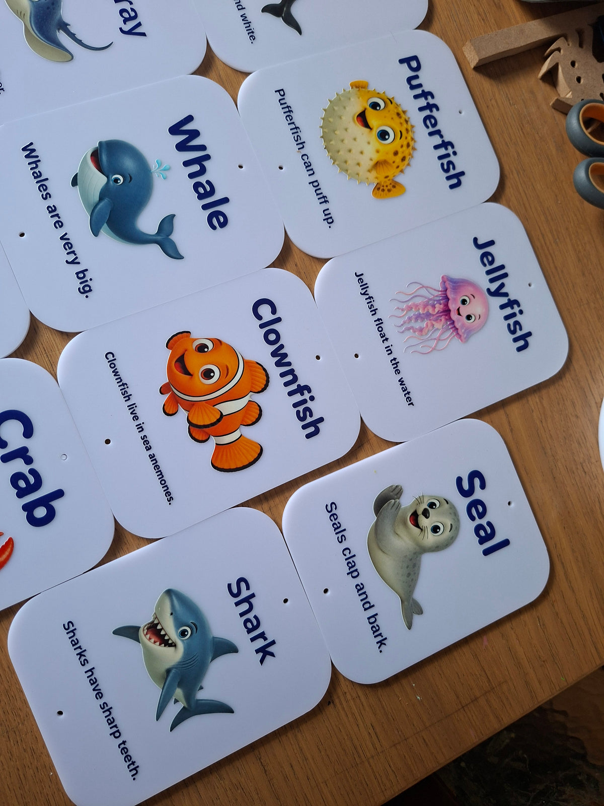 SET OF 14 SEA CREATURE SIGNS, ACRYLIC (12X15CM), UV PRINTED